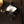 Load image into Gallery viewer, CLASSIC Grill Economy (green)

