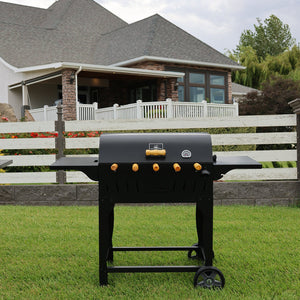 CLASSIC Grill Economy (black)