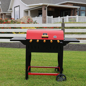 CLASSIC Grill Economy (red)